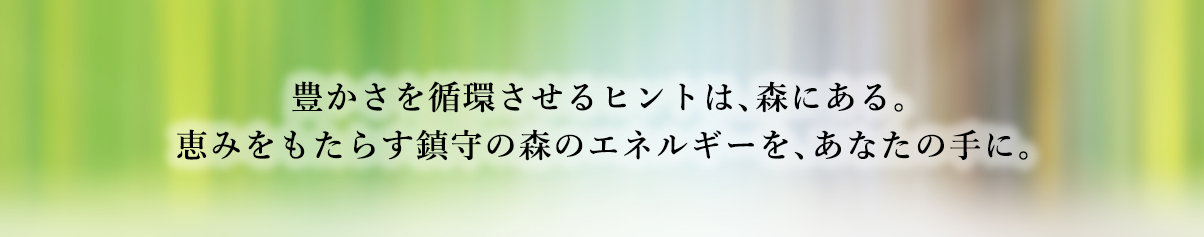 豊かさを循環させるヒントは、森にある。恵みをもたらす鎮守の森のエネルギーを、あなたの手に。