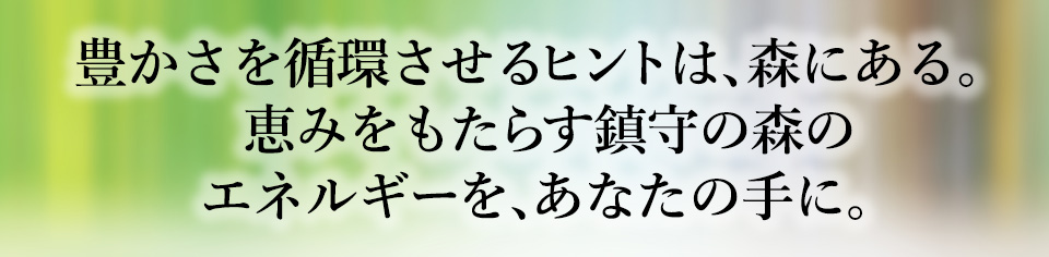 豊かさを循環させるヒントは、森にある。恵みをもたらす鎮守の森のエネルギーを、あなたの手に。