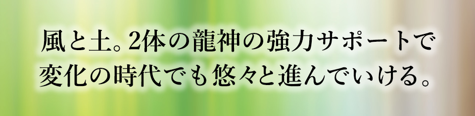 風と土。2体の龍神の強力サポートで変化の時代でも悠々と進んでいける。