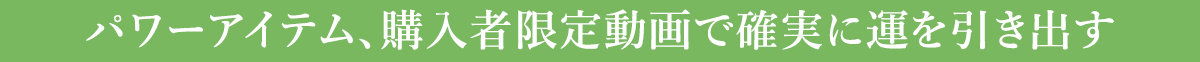 2023年の龍神護符はパワーアイテム付き!